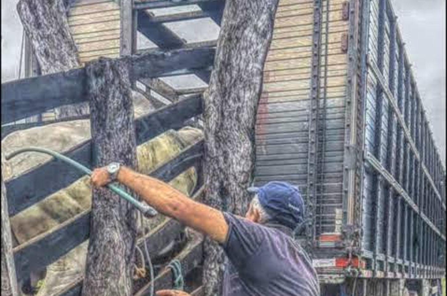 Em Juara vaqueiro sobrevive a choque de alta tensão, mas sofre queimaduras em várias partes do corpo 