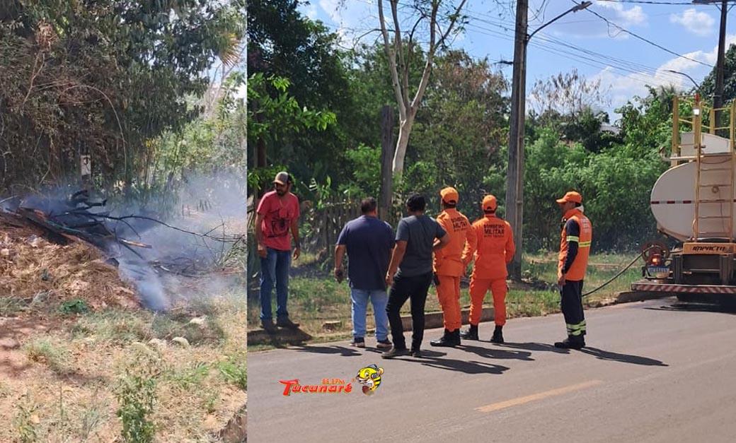 Um macaco pode ter causado incêndio em Juara e mobilizou Corpo de Bombeiros. Leia mais